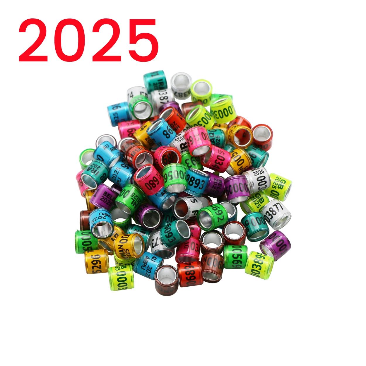 2025 ˷̴ öƽ ѱ  ,    ٸ  , ö ̽ ĺ ѱ , 200 